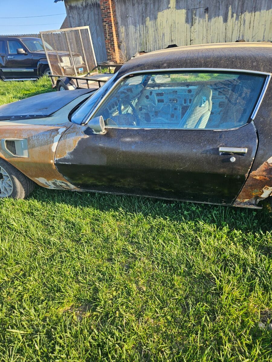 1979 Pontiac Trans Am - photo 7