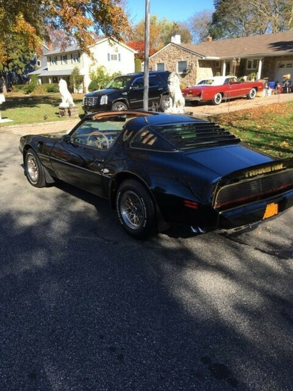 1979 Pontiac Trans Am - photo 10