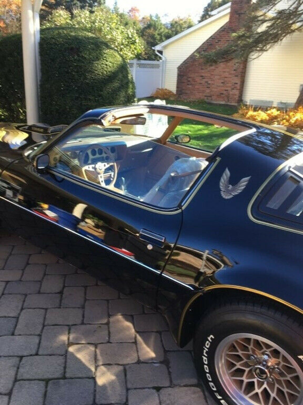 1979 Pontiac Trans Am - photo 12