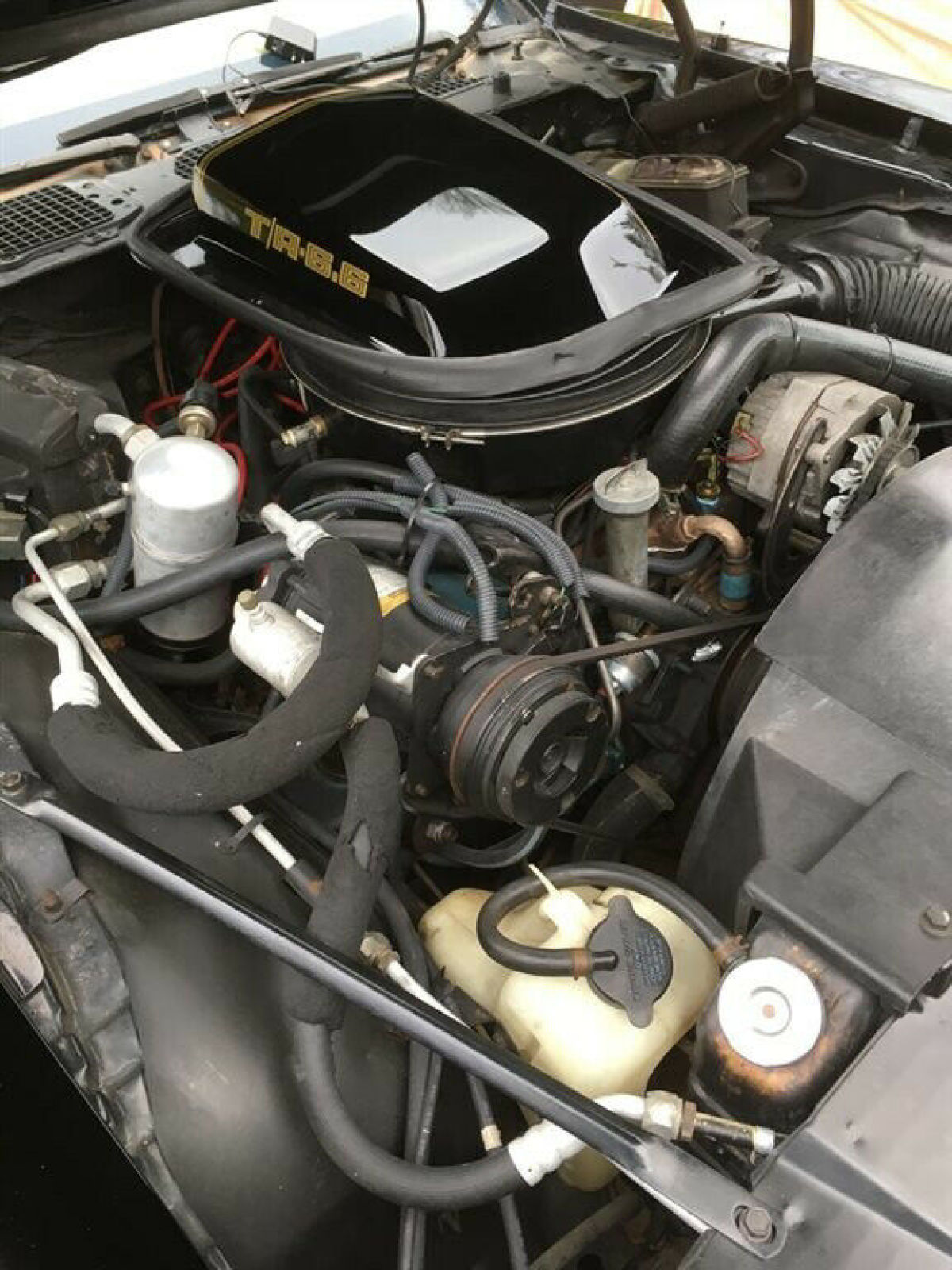 1979 Pontiac Trans Am - photo 3