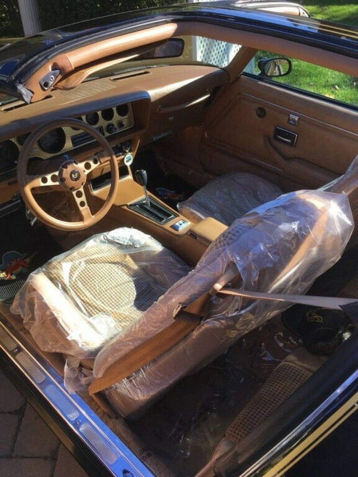 1979 Pontiac Trans Am - photo 5
