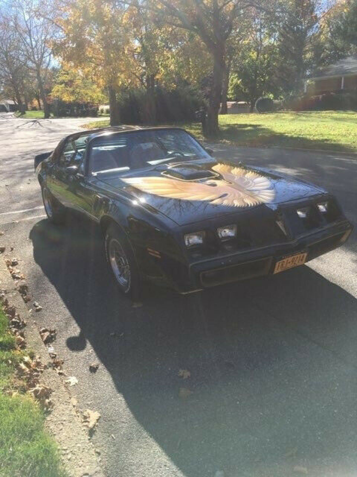 1979 Pontiac Trans Am - photo 9