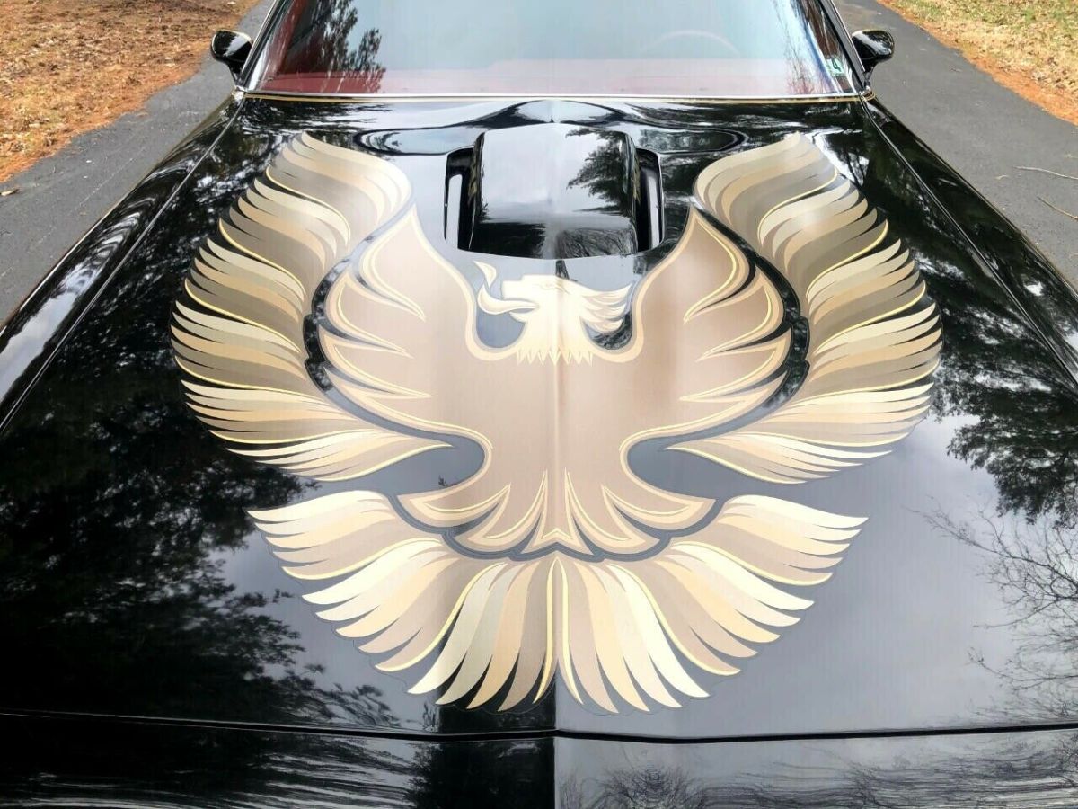 1979 Pontiac Trans Am Coupe - photo 4