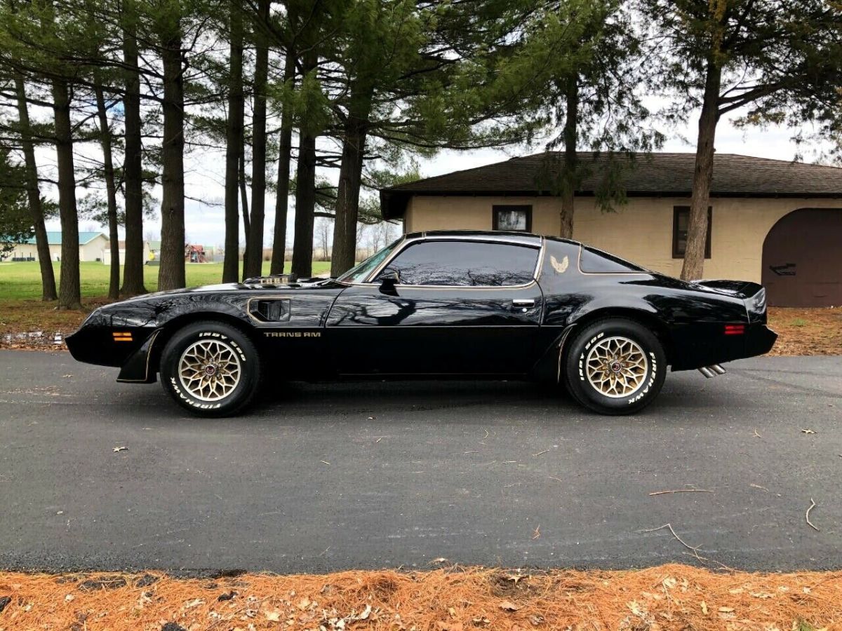 1979 Pontiac Trans Am Coupe - photo 7
