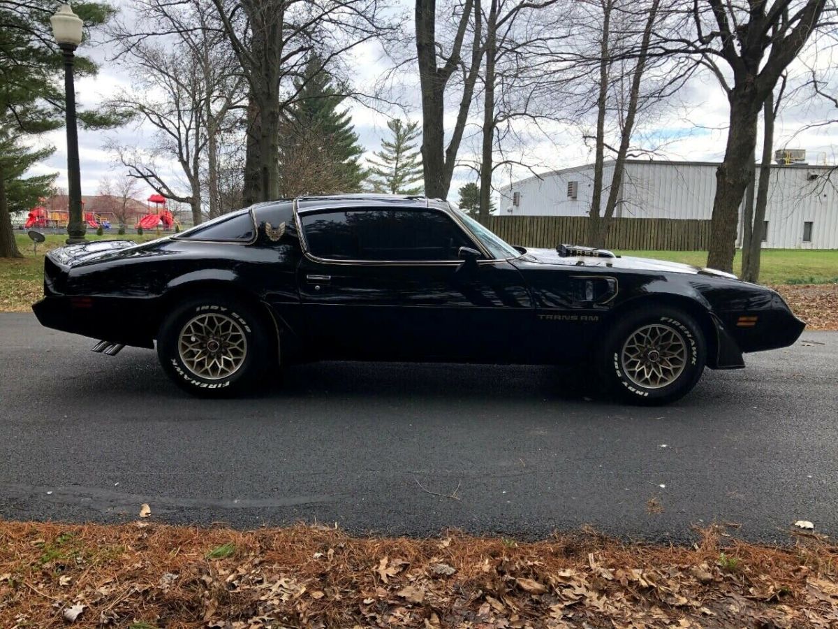 1979 Pontiac Trans Am Coupe - photo 9