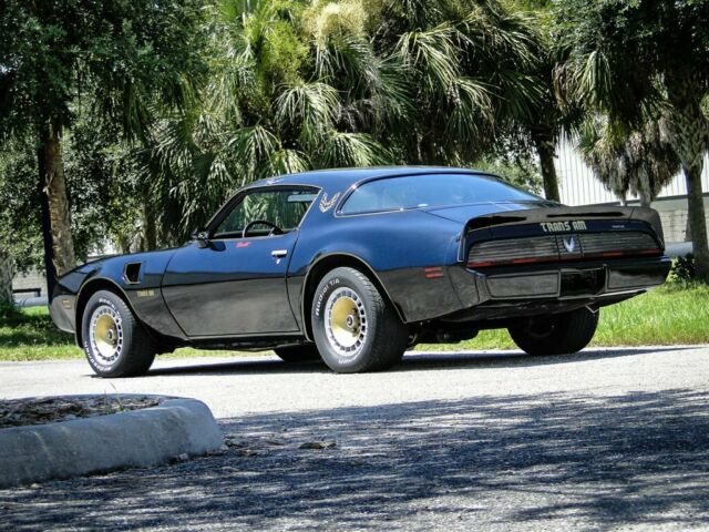1979 Pontiac Trans Am Coupe - photo 8