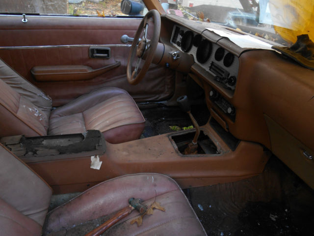 1979 Pontiac Trans Am - photo 2
