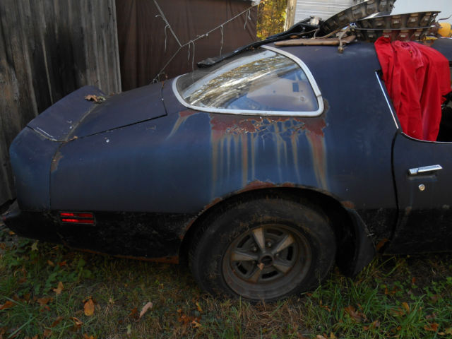 1979 Pontiac Trans Am - photo 3
