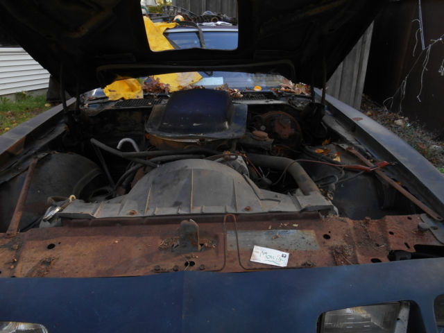 1979 Pontiac Trans Am - photo 4