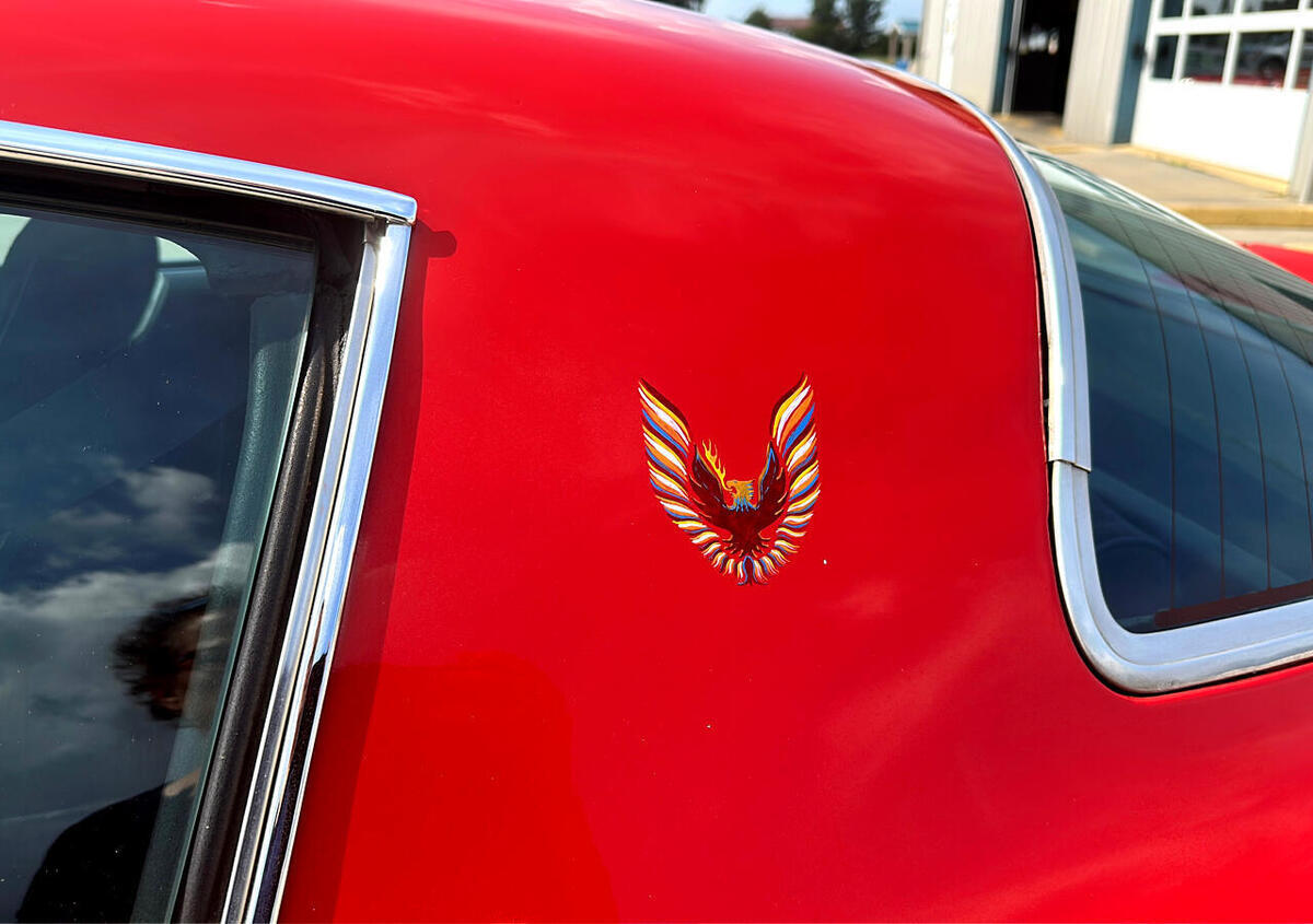 1979 Pontiac Trans Am Coupe - photo 13