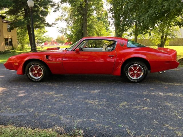 1979 Pontiac Trans Am Coupe - photo 12