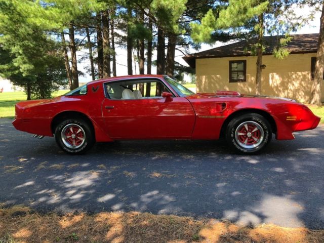 1979 Pontiac Trans Am Coupe - photo 9