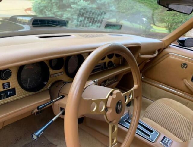 1979 Pontiac Trans Am - photo 13