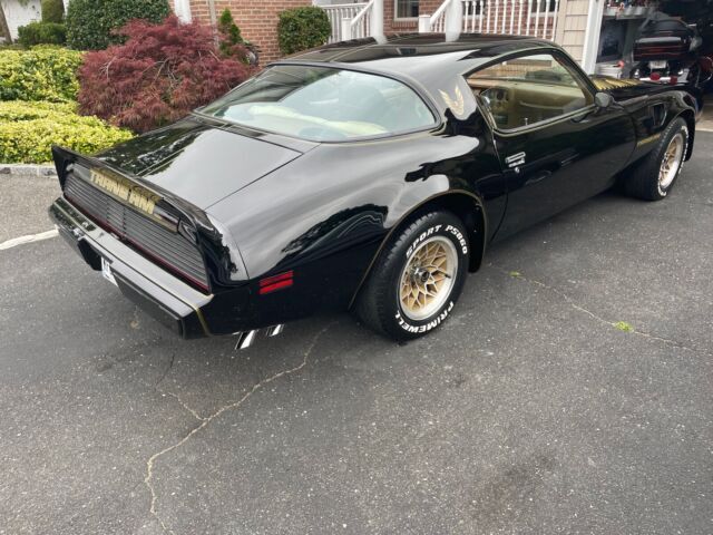 1979 Pontiac Trans Am - photo 9