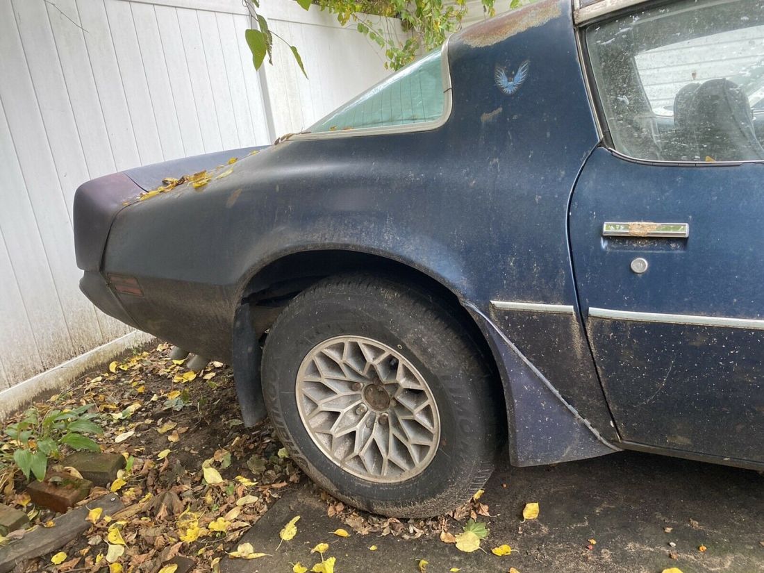 1979 Pontiac Trans Am - photo 2