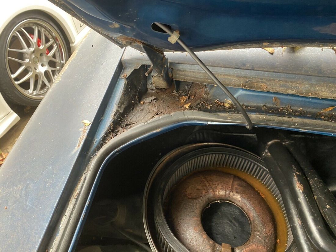 1979 Pontiac Trans Am - photo 4