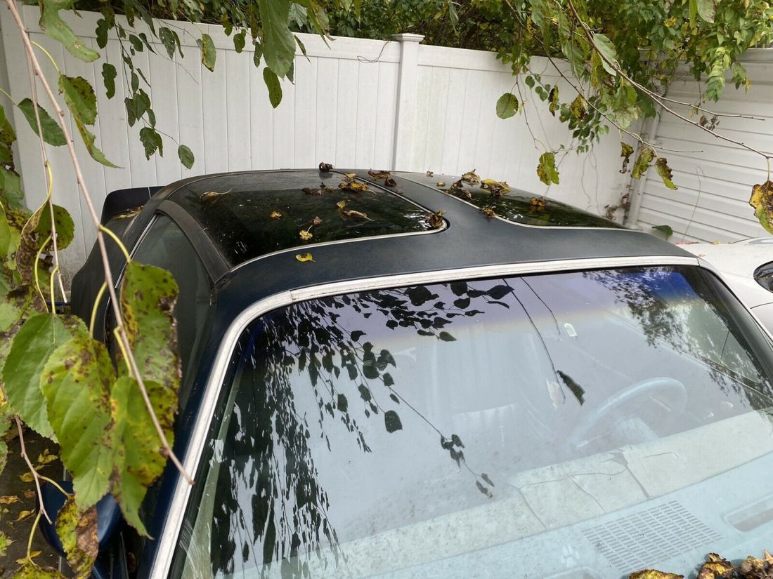 1979 Pontiac Trans Am - photo 8