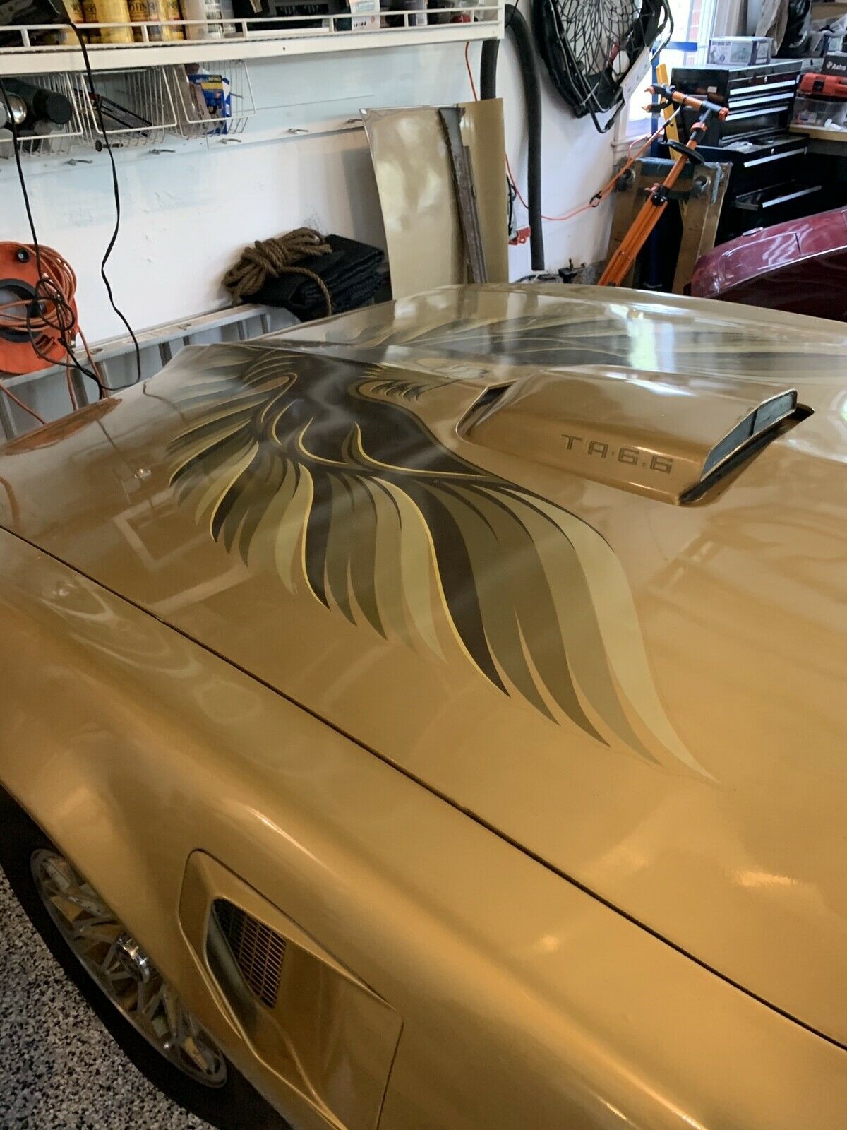 1979 Pontiac Trans Am - photo 3