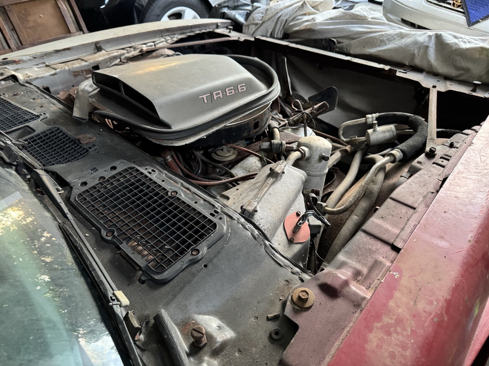 1979 Pontiac Firebird 10th Anniversary - photo 11