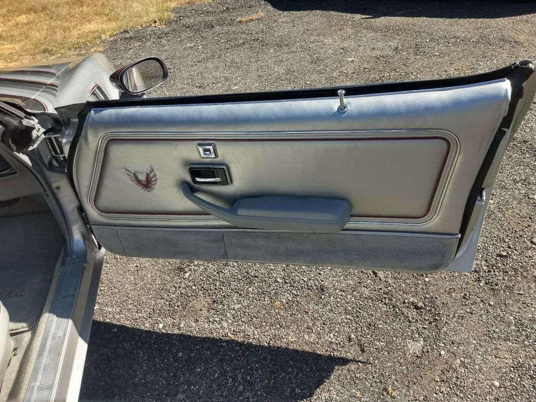 1979 Pontiac Trans Am 10 anniversary silver edition - photo 11