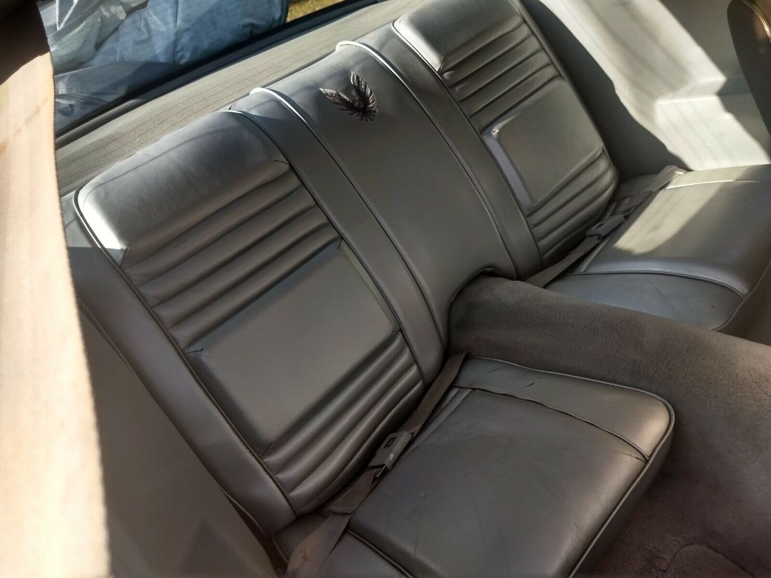 1979 Pontiac Trans Am 10 anniversary silver edition - photo 12