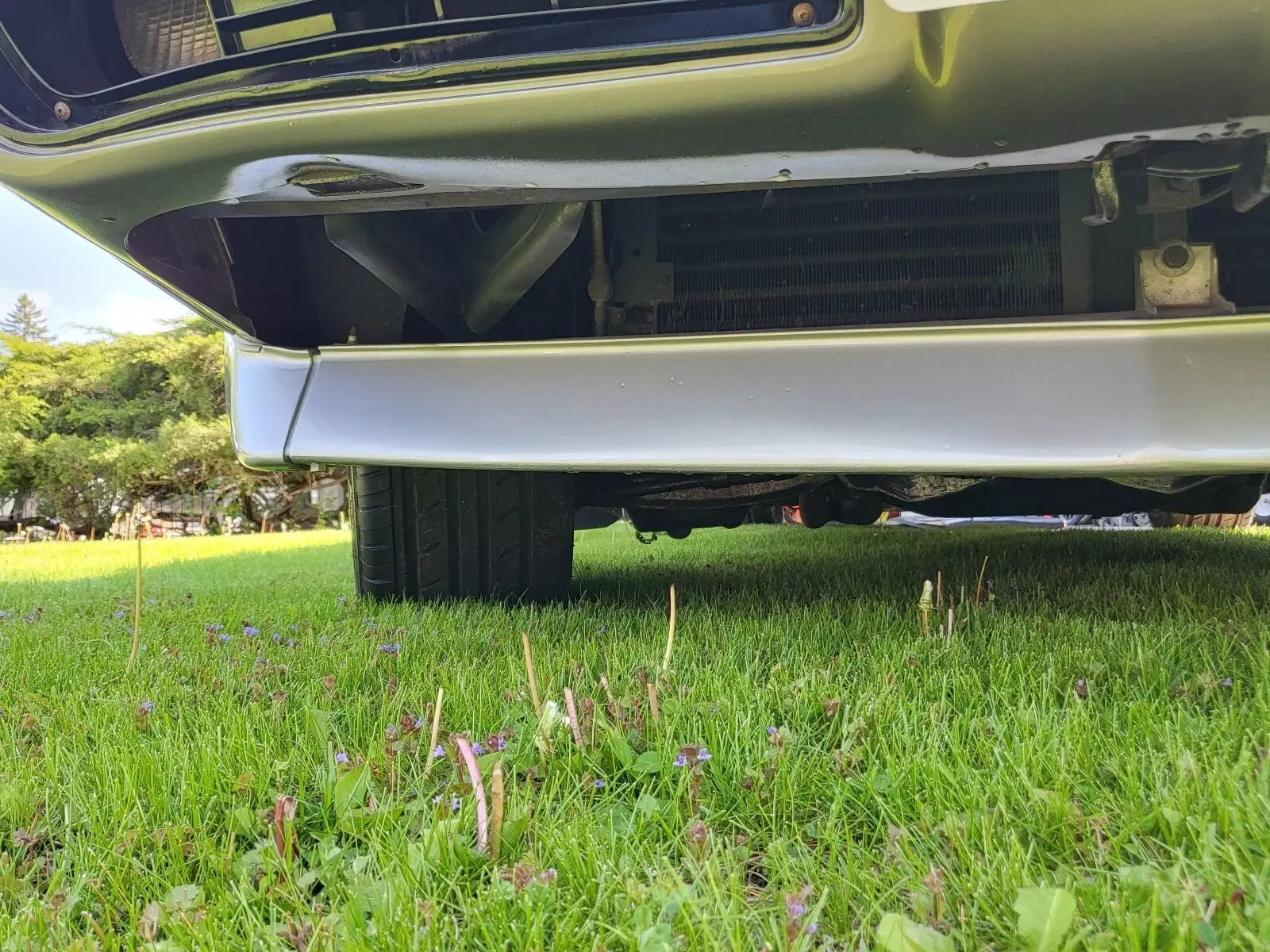 1979 Pontiac Trans Am Silver anniversary - photo 11
