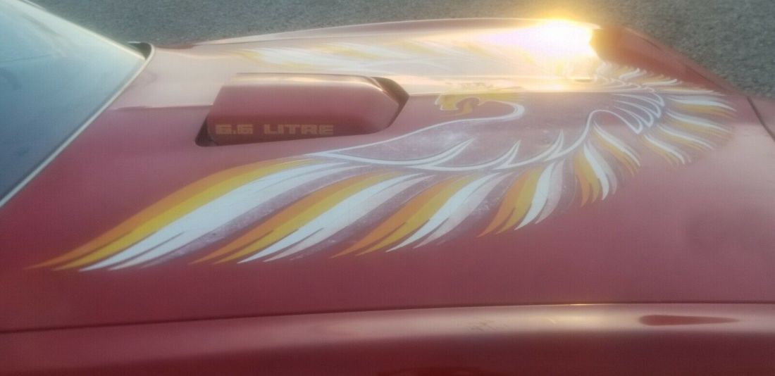 1979 Pontiac Trans Am - photo 2