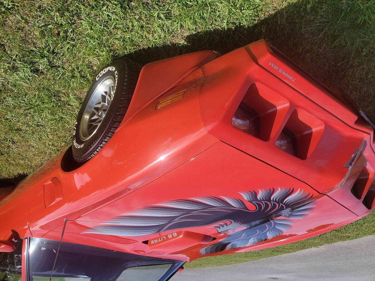 1979 Pontiac Trans Am WS6 - photo 13