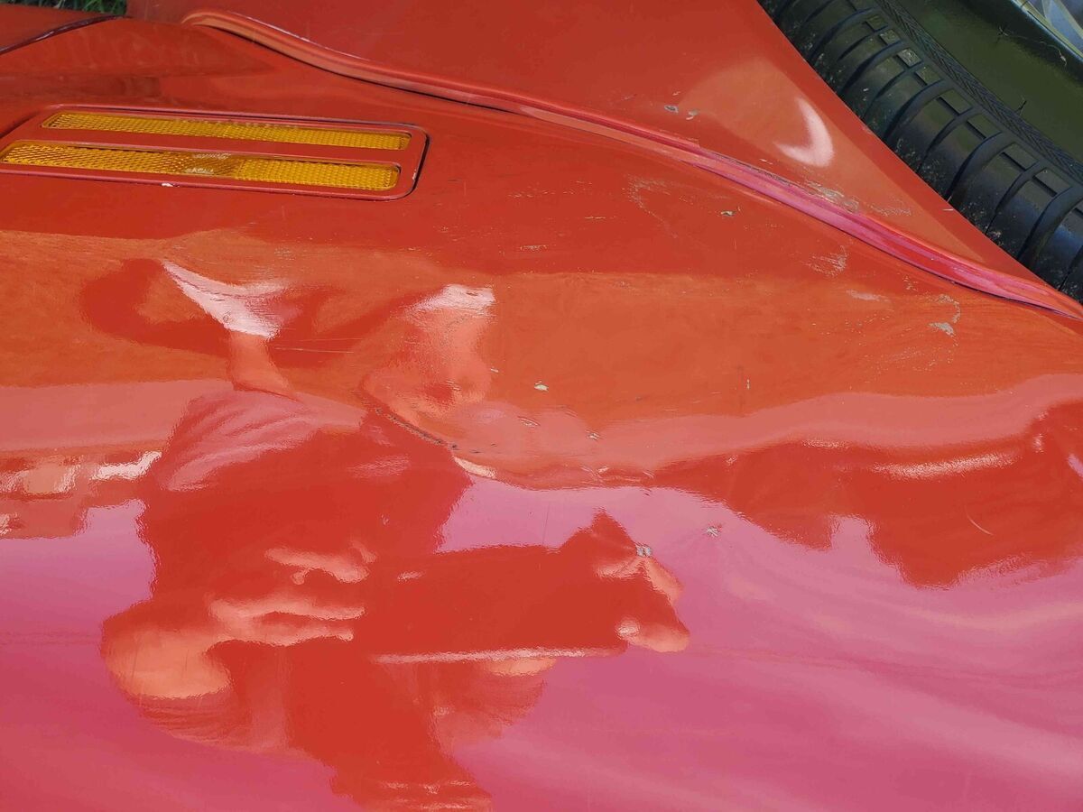 1979 Pontiac Trans Am WS6 - photo 3