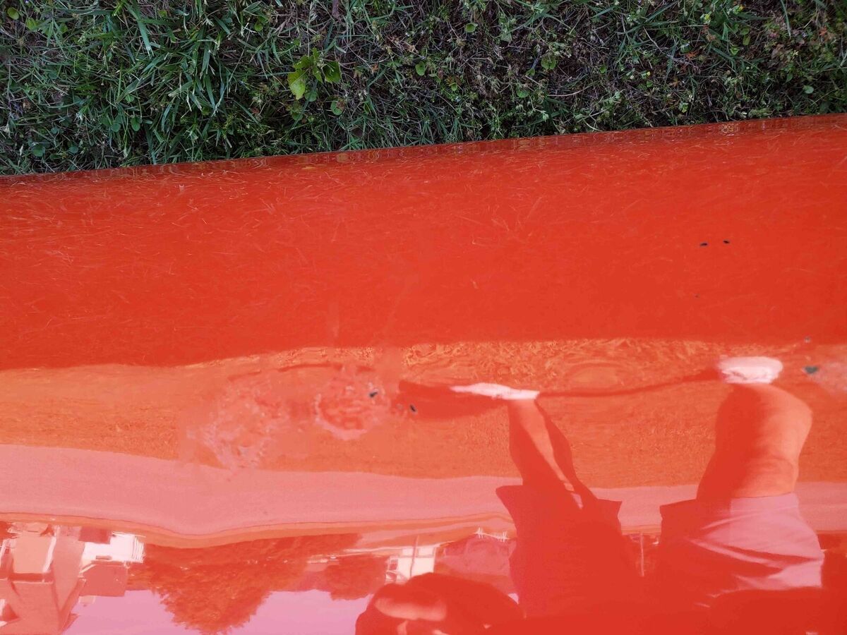 1979 Pontiac Trans Am WS6 - photo 4