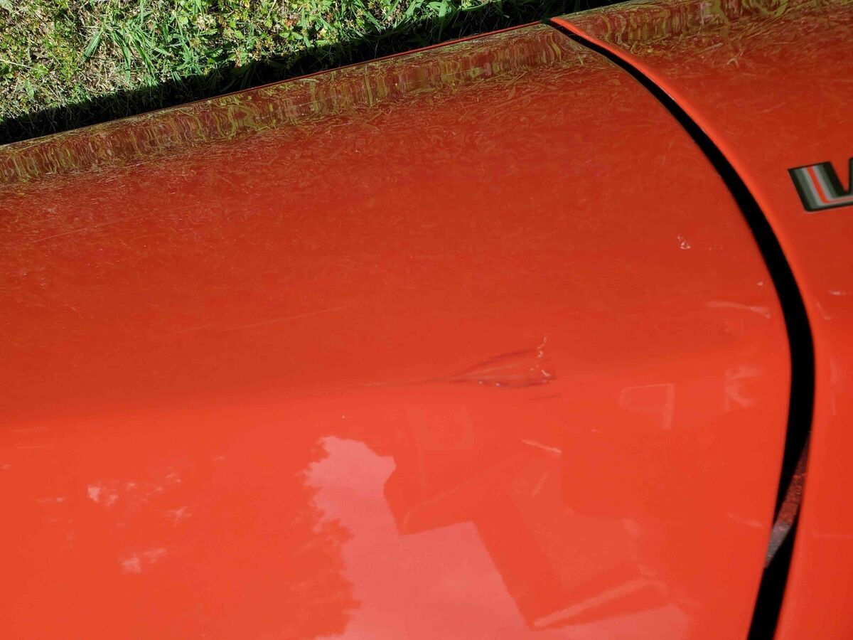 1979 Pontiac Trans Am WS6 - photo 5