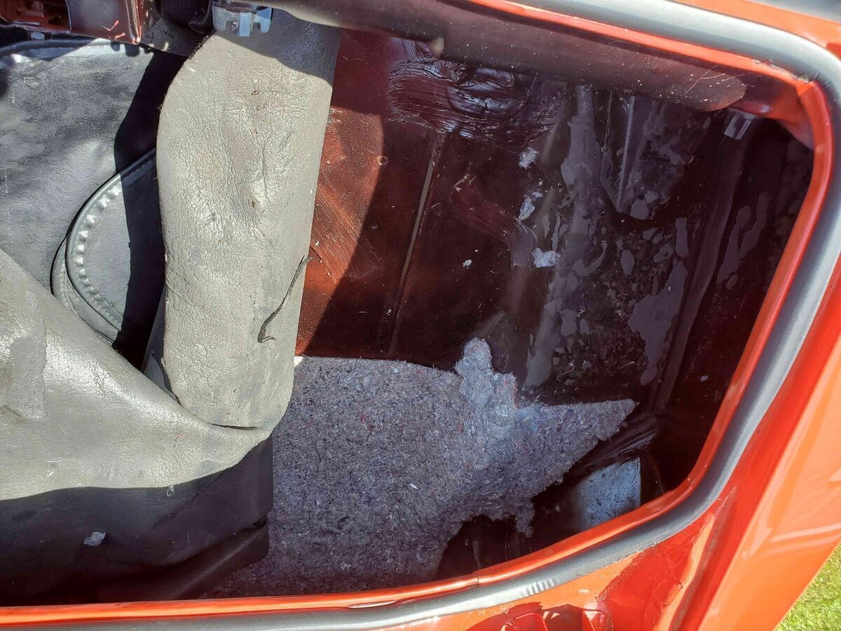 1979 Pontiac Trans Am WS6 - photo 8