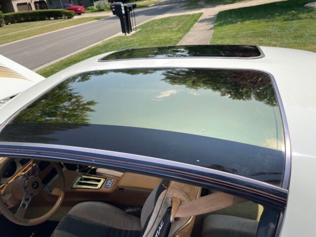 1979 Pontiac Trans Am - photo 5
