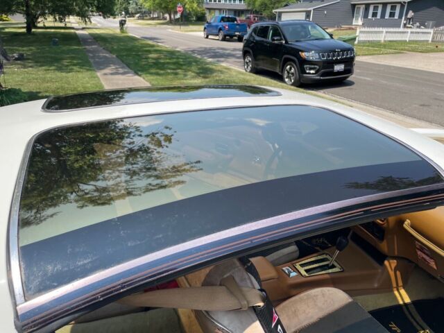 1979 Pontiac Trans Am - photo 7