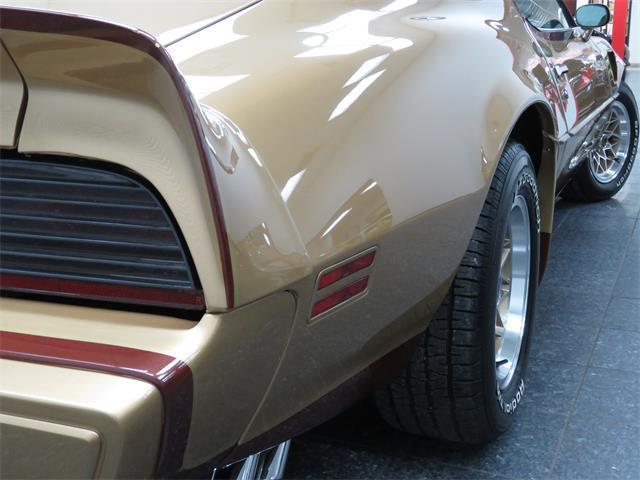 1979 Pontiac Trans Am DKM Macho - photo 10