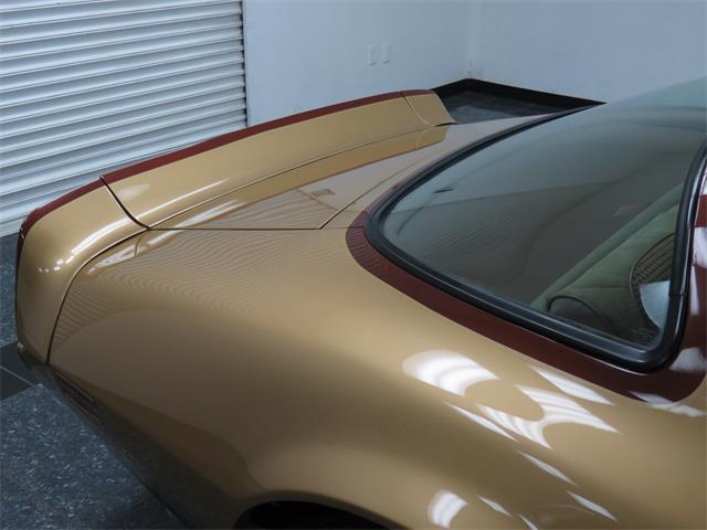 1979 Pontiac Trans Am DKM Macho - photo 12