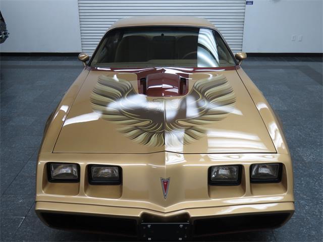 1979 Pontiac Trans Am DKM Macho - photo 4
