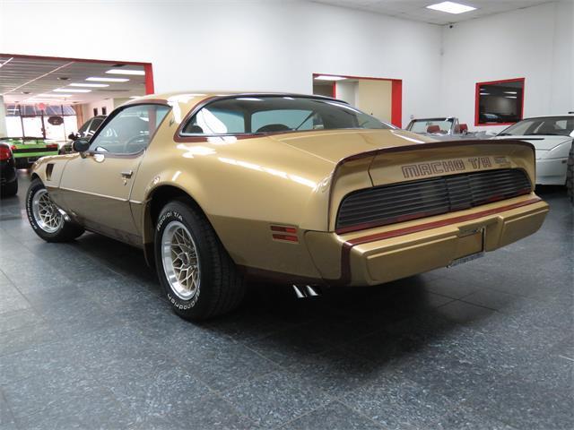 1979 Pontiac Trans Am DKM Macho - photo 5