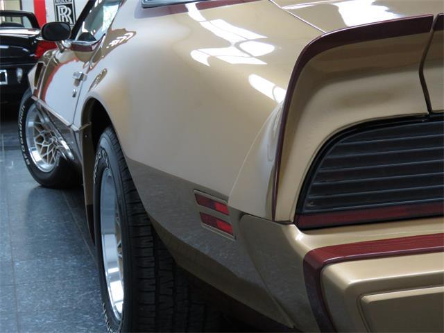 1979 Pontiac Trans Am DKM Macho - photo 6