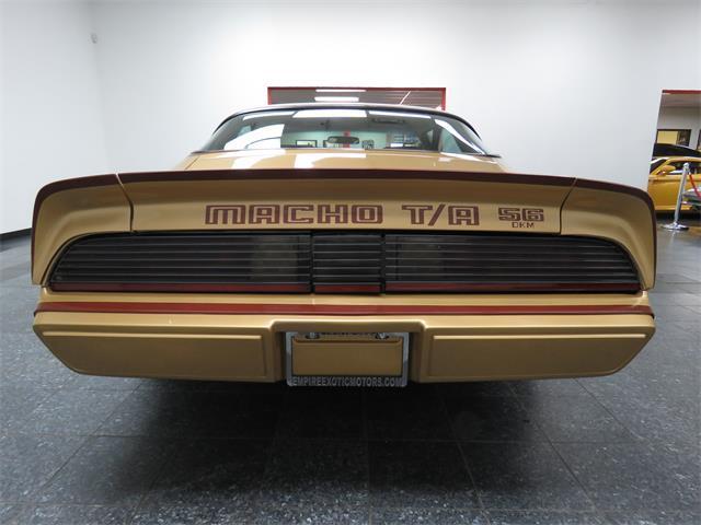 1979 Pontiac Trans Am DKM Macho - photo 7