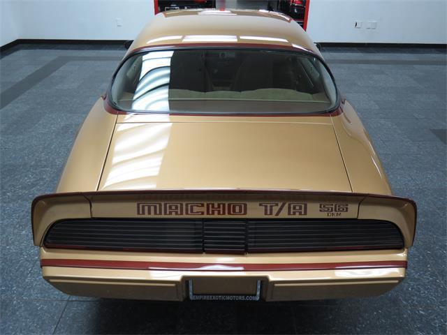 1979 Pontiac Trans Am DKM Macho - photo 8