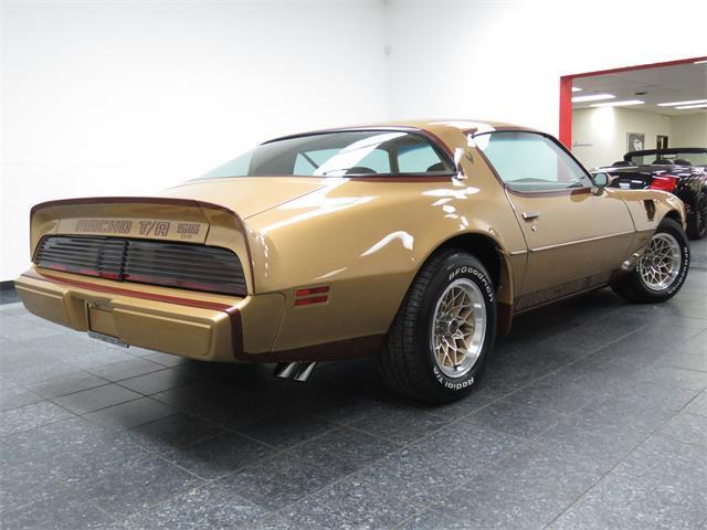 1979 Pontiac Trans Am DKM Macho - photo 9