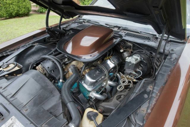 1979 Pontiac Trans Am Trans Am - photo 10