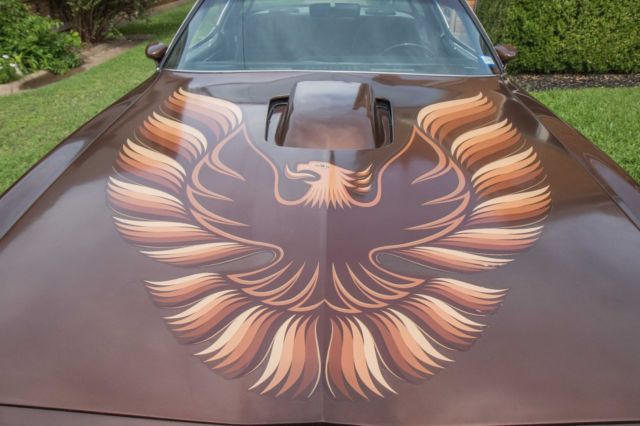 1979 Pontiac Trans Am Trans Am - photo 5