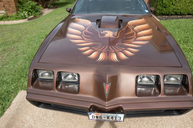 1979 Pontiac Trans Am Trans Am - photo 7
