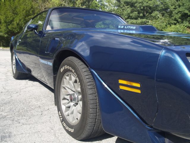 1979 Pontiac Trans Am - photo 12