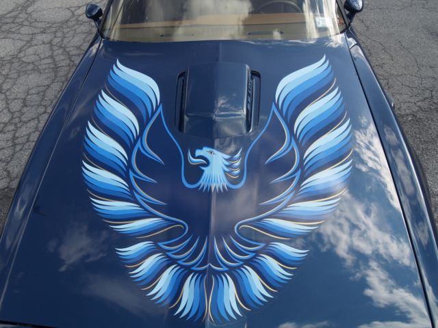 1979 Pontiac Trans Am - photo 9
