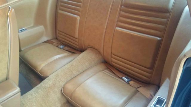 1979 Pontiac Trans Am - photo 9