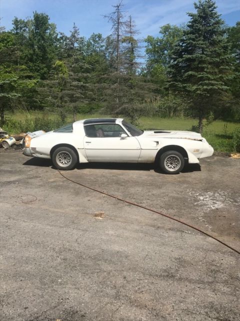 1979 Pontiac Trans Am