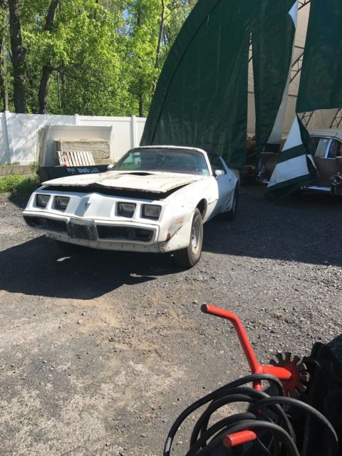 1979 Pontiac Trans Am - photo 13